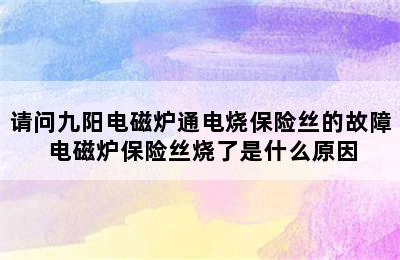 请问九阳电磁炉通电烧保险丝的故障 电磁炉保险丝烧了是什么原因